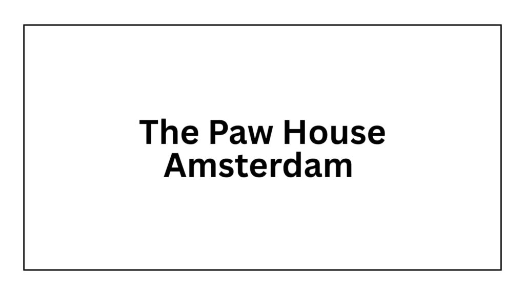 the-paw-house-amsterdam