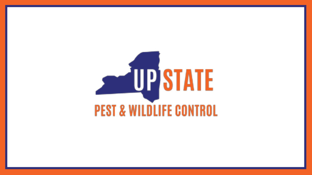 upstate-pest-&-wildlife-control