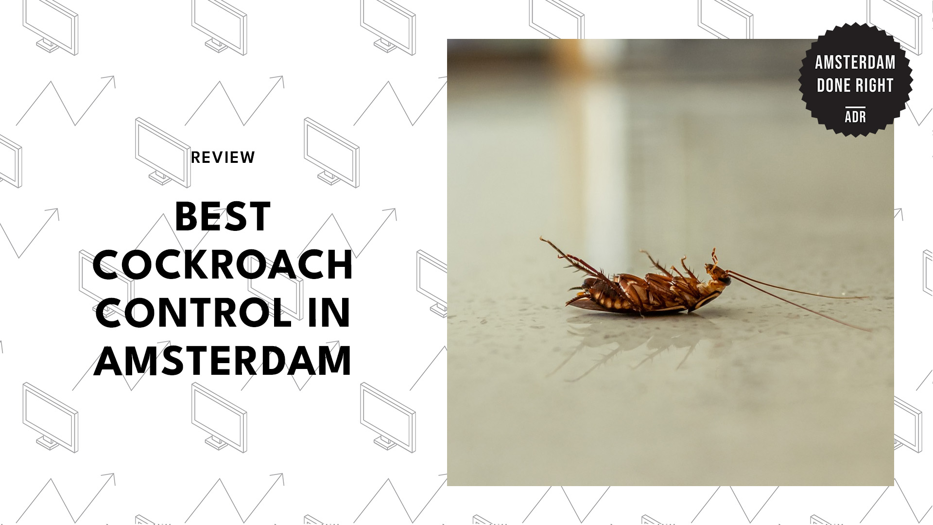 cockroach-control