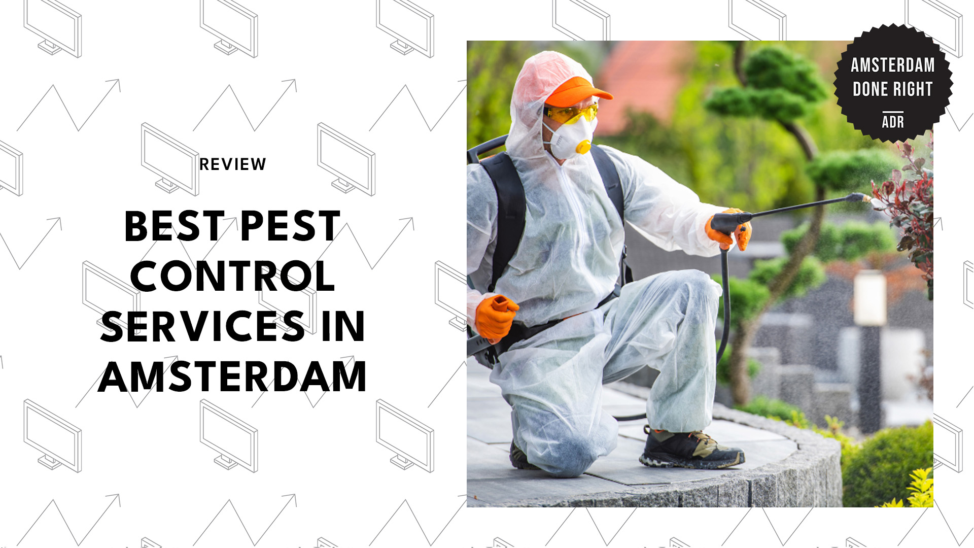 best-pest-control-amsterdam-banner