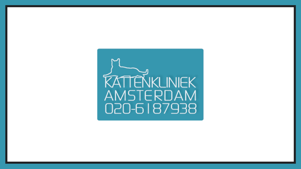 kattenkliniek-mercator-animal-clinic