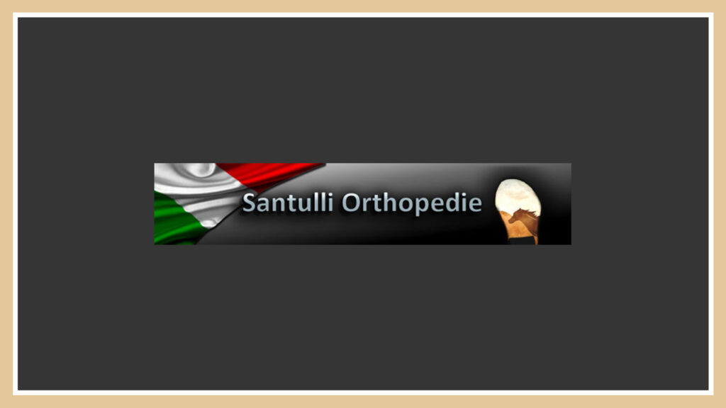 santulli-orthopedie-logo