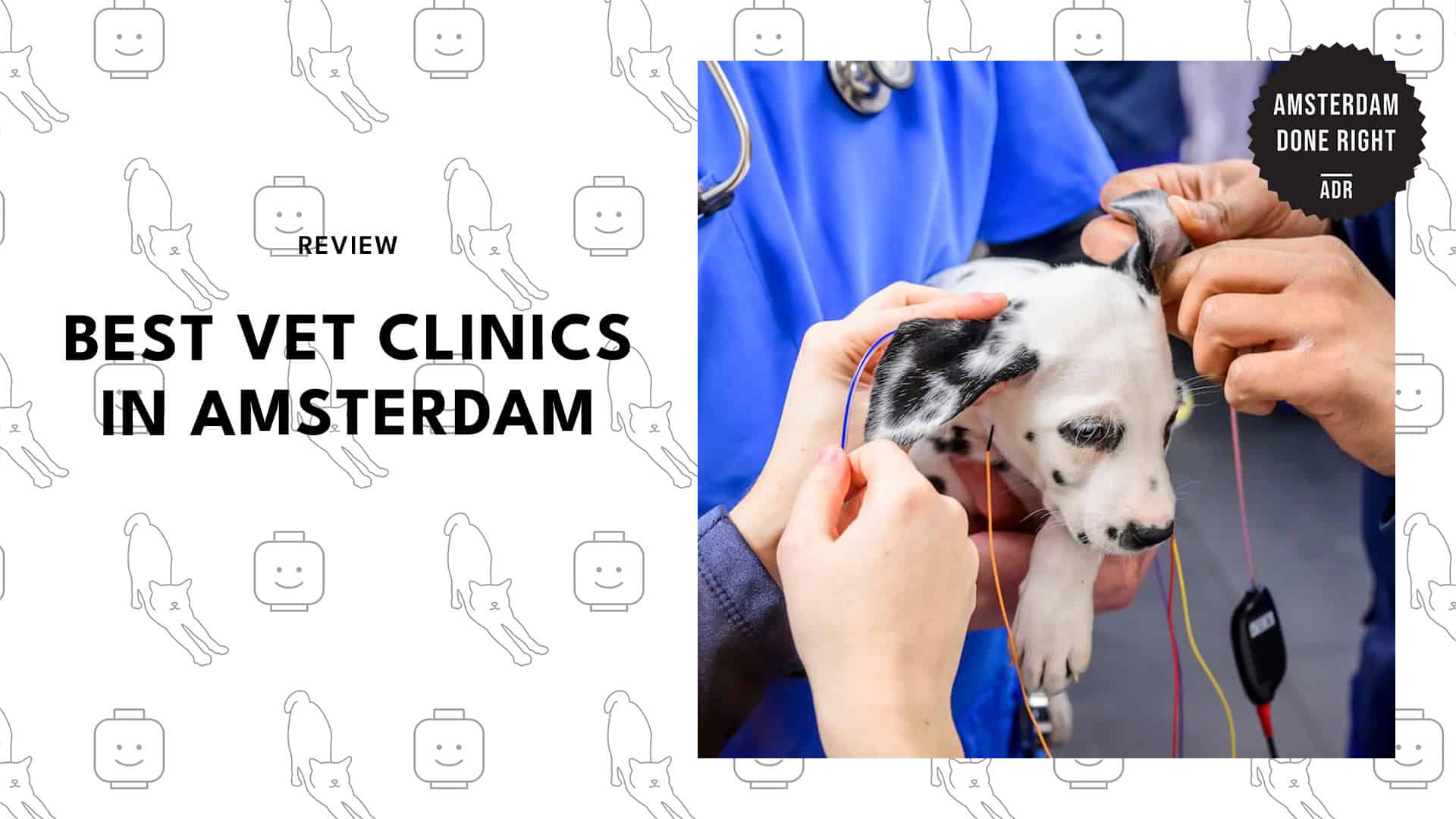 vet-clinic-amsterdam