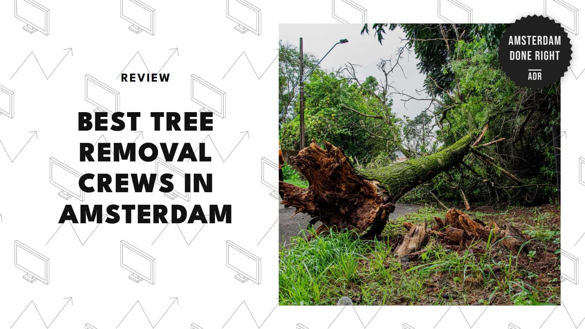 best-tree-removal-amsterdam-banner